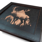 Framed Art - CUSTOM - Deer