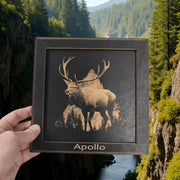 Framed Art - PERSONALIZED - CUSTOM - Deer