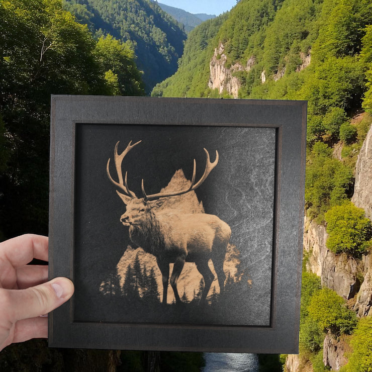 Framed Art - CUSTOM - Deer