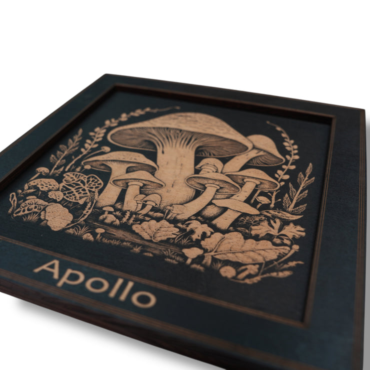 Framed Art - PERSONALIZED - CUSTOM - Mushrooms