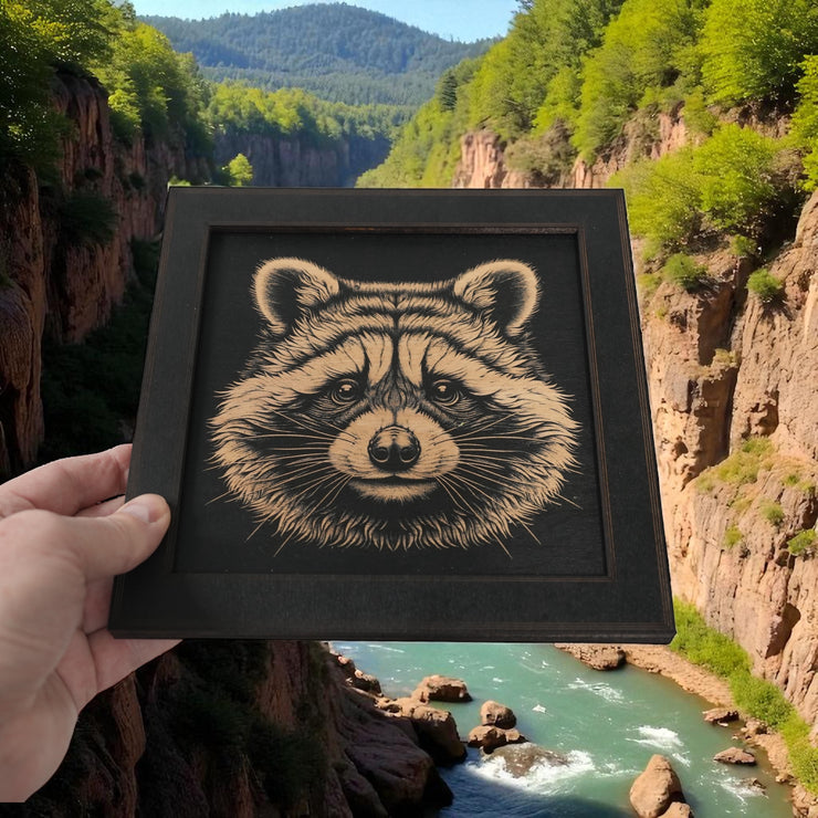 Framed Art - CUSTOM - Raccoon