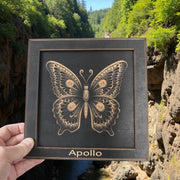Framed Art - PERSONALIZED - CUSTOM - Butterfly