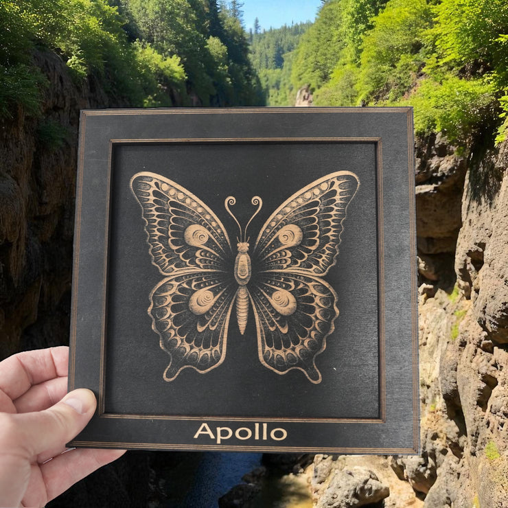 Framed Art - PERSONALIZED - CUSTOM - Butterfly