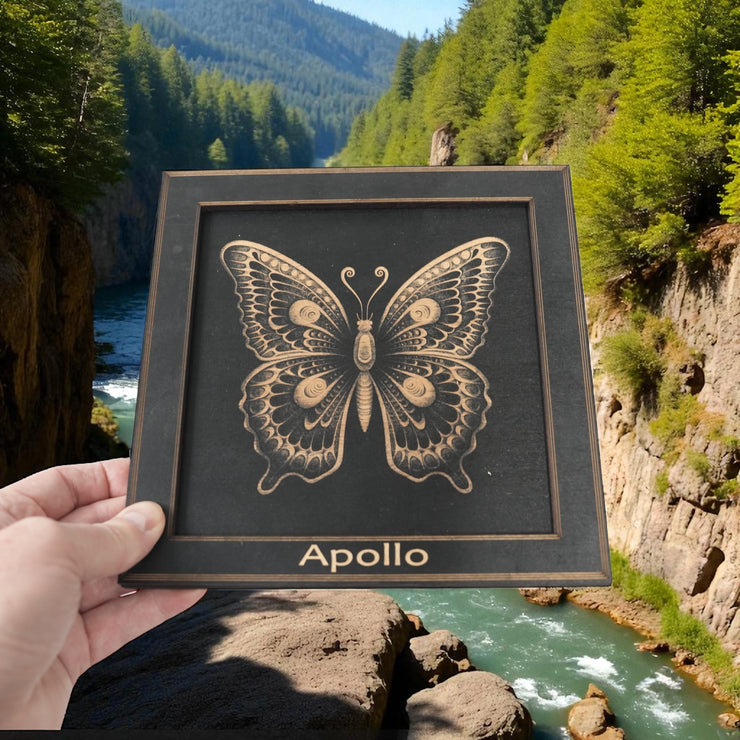 Framed Art - PERSONALIZED - CUSTOM - Butterfly