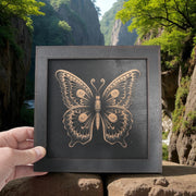 Framed Art - CUSTOM - Butterfly