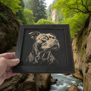 Framed Art - CUSTOM - Pit Bull - Dog