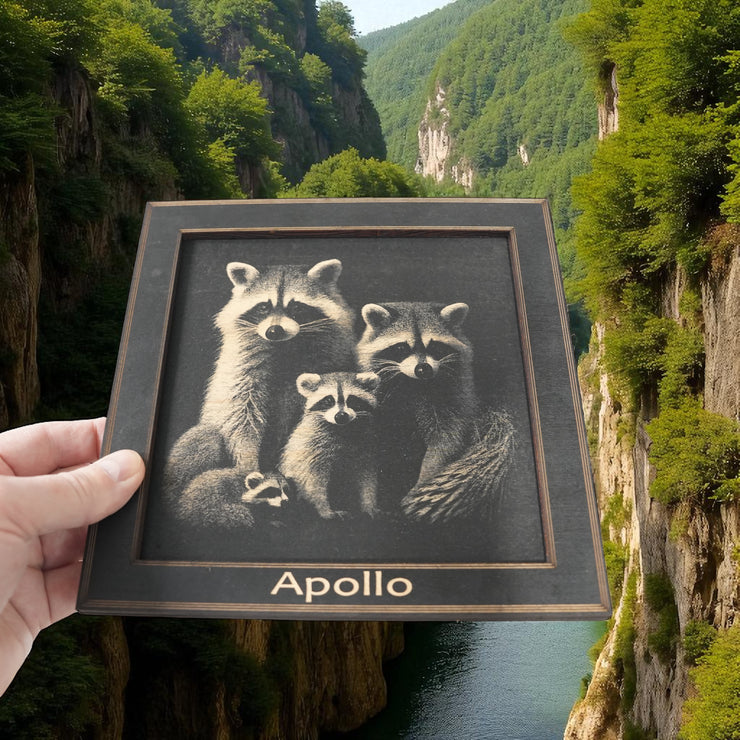 Framed Art - PERSONALIZED - CUSTOM - Raccoon Family