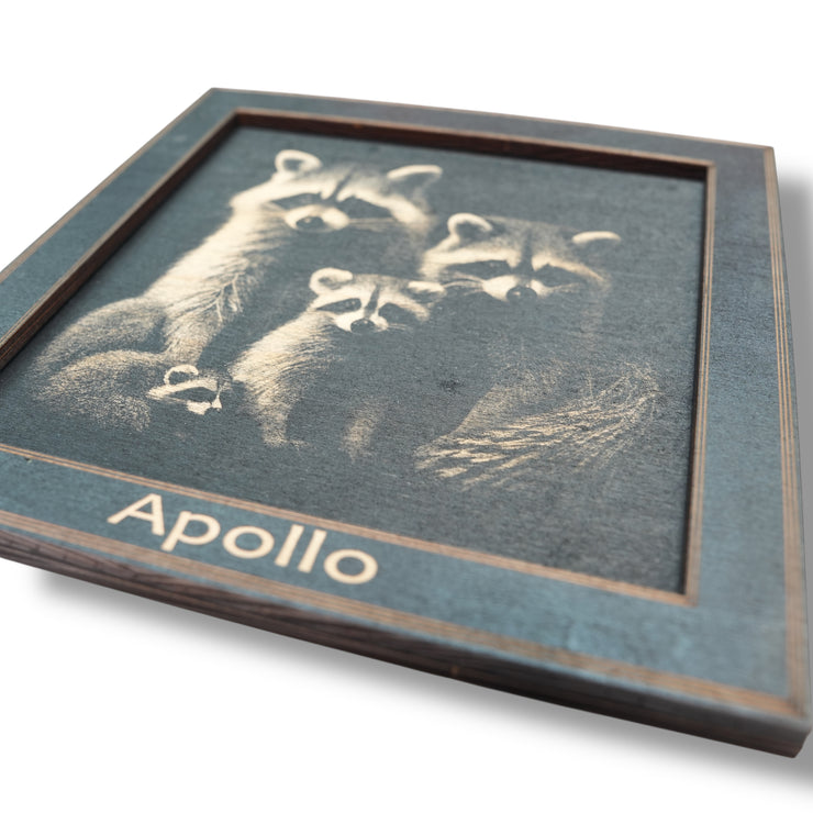 Framed Art - PERSONALIZED - CUSTOM - Raccoon Family