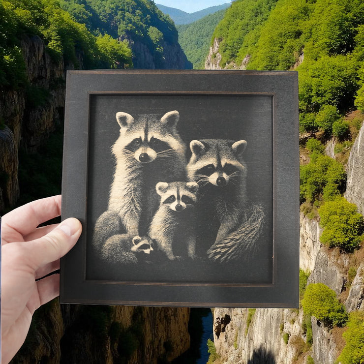 Framed Art - CUSTOM - Raccoon Family