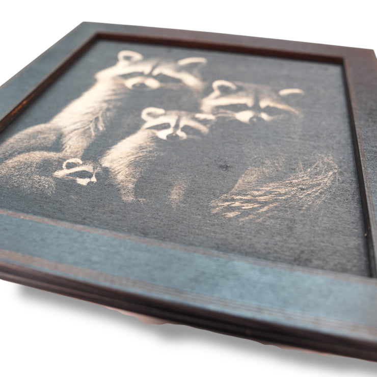 Framed Art - CUSTOM - Raccoon Family