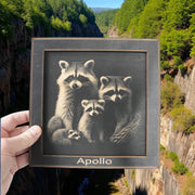 Framed Art - PERSONALIZED - CUSTOM - Raccoon Family