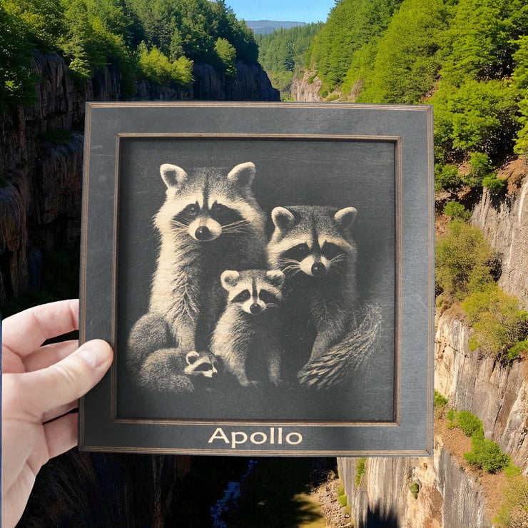 Framed Art - PERSONALIZED - CUSTOM - Raccoon Family