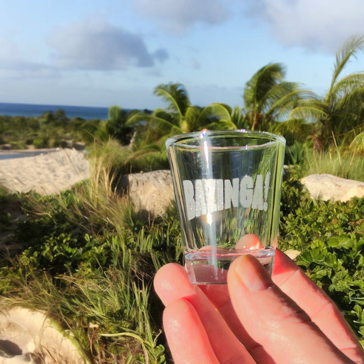 2oz Bazinga! Shot Glass