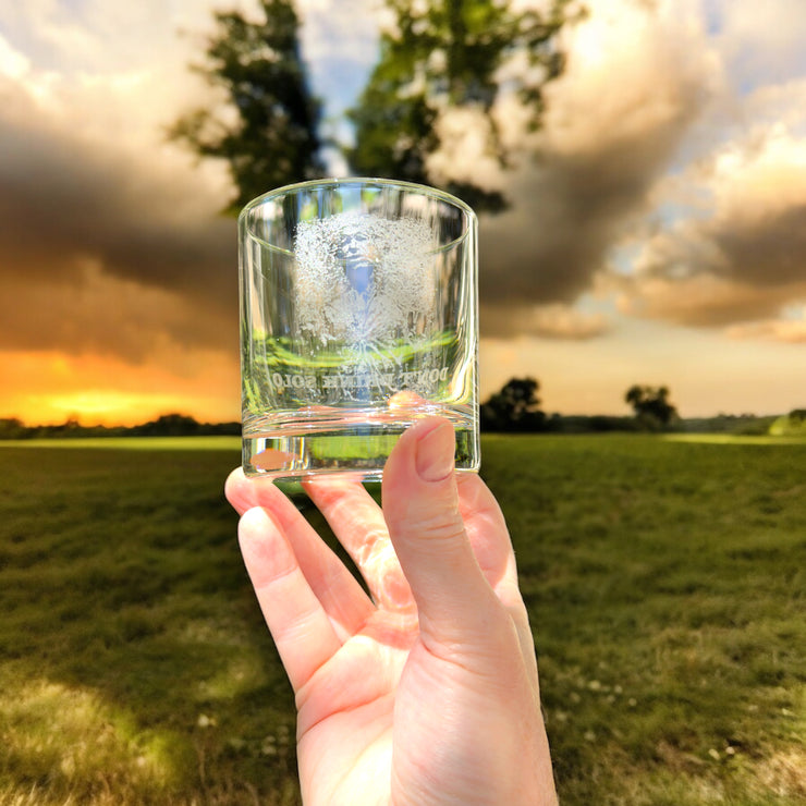 Rocks Glass - Dont Drink Solo - Double Old Fashioned