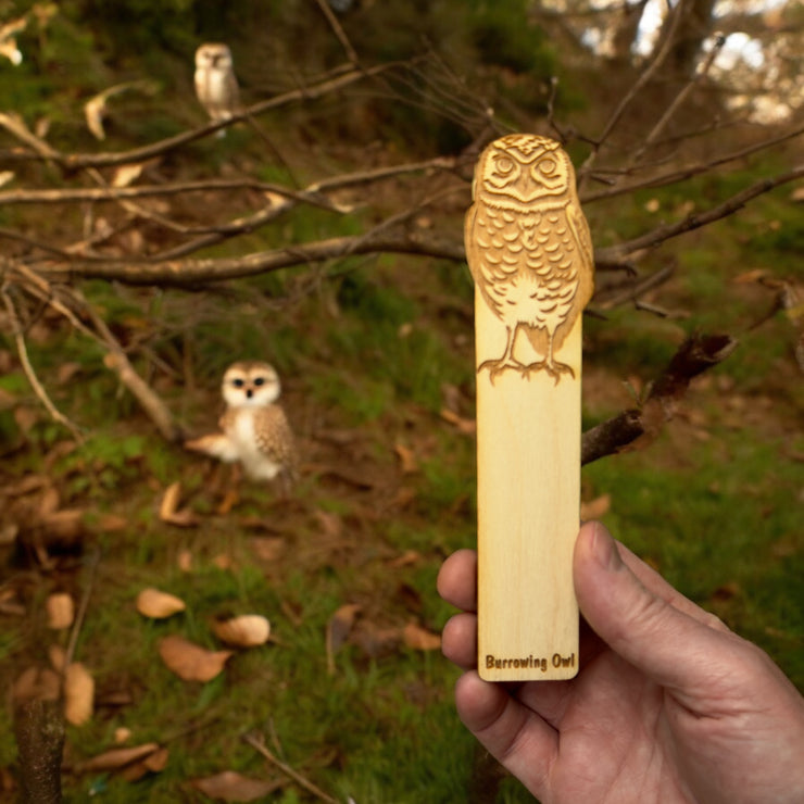 Bookmark - Burrowing Owl - Birch wood