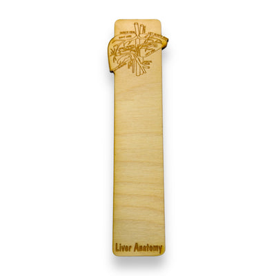 Bookmark - Liver Anatomy - Birch wood