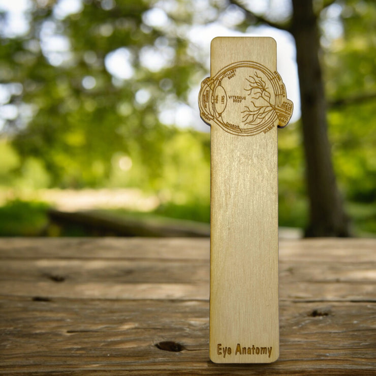 Bookmark - Eye Anatomy - Birch wood