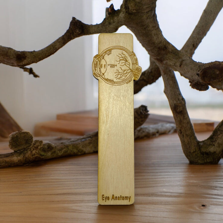 Bookmark - Eye Anatomy - Birch wood