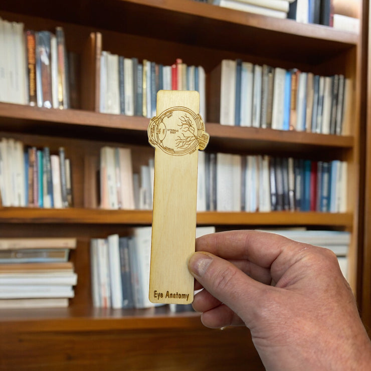 Bookmark - Eye Anatomy - Birch wood