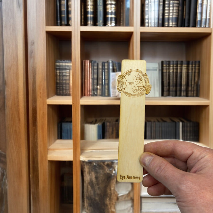 Bookmark - Eye Anatomy - Birch wood