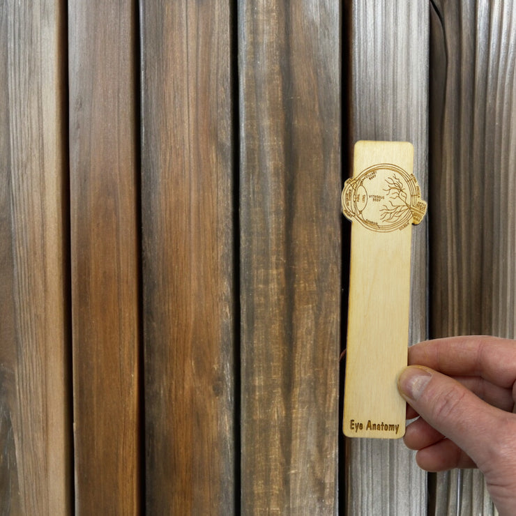Bookmark - Eye Anatomy - Birch wood