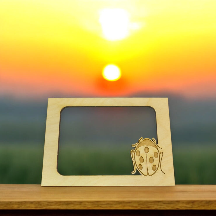 LadyBug Photo frame insert (FRAME NOT INCLUDED)