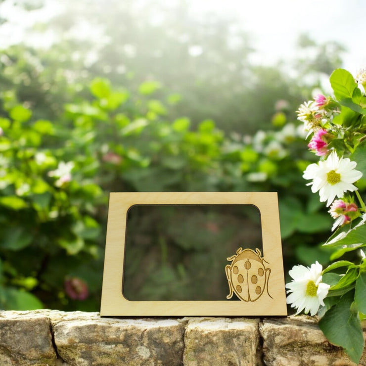LadyBug Photo frame insert (FRAME NOT INCLUDED)