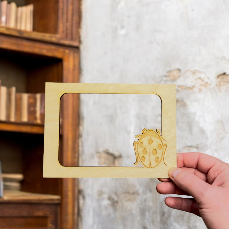 LadyBug Photo frame insert (FRAME NOT INCLUDED)