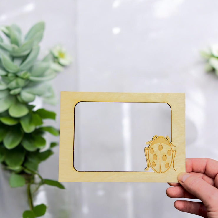 LadyBug Photo frame insert (FRAME NOT INCLUDED)