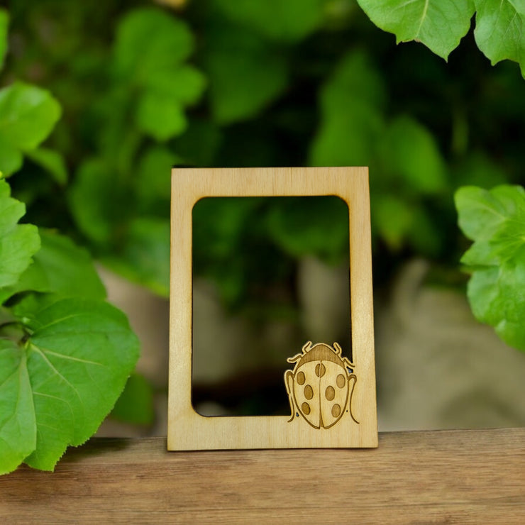 LadyBug Photo frame insert (FRAME NOT INCLUDED)