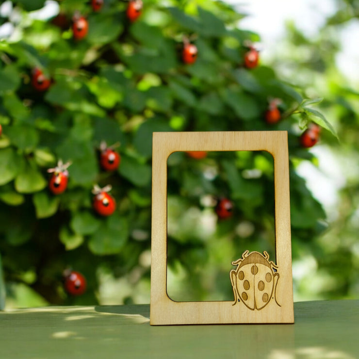 LadyBug Photo frame insert (FRAME NOT INCLUDED)