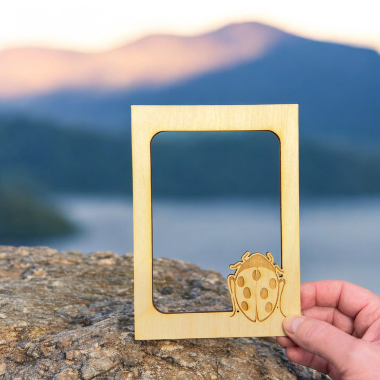 LadyBug Photo frame insert (FRAME NOT INCLUDED)