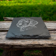 Coaster - Slate - Golden Doodle - SET OF 2