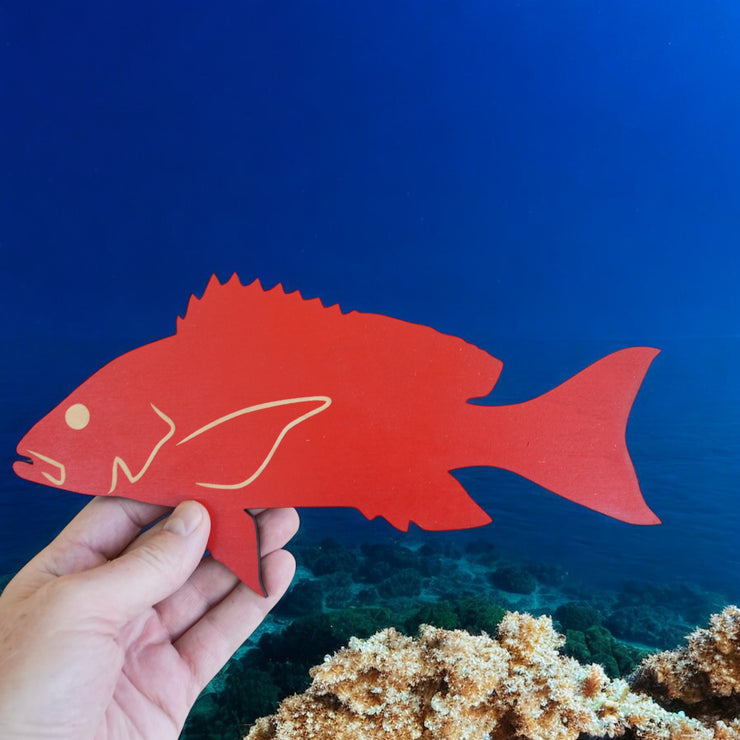 Sign - CUSTOM - Red Snapper