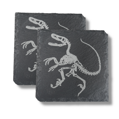 Coaster - Slate - Dinosaur Fossil - SET OF 2