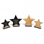 Award - CUSTOM - Employee Of The Month Star with STAND