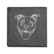 Coaster - Slate - PIt Bull - SET OF 2