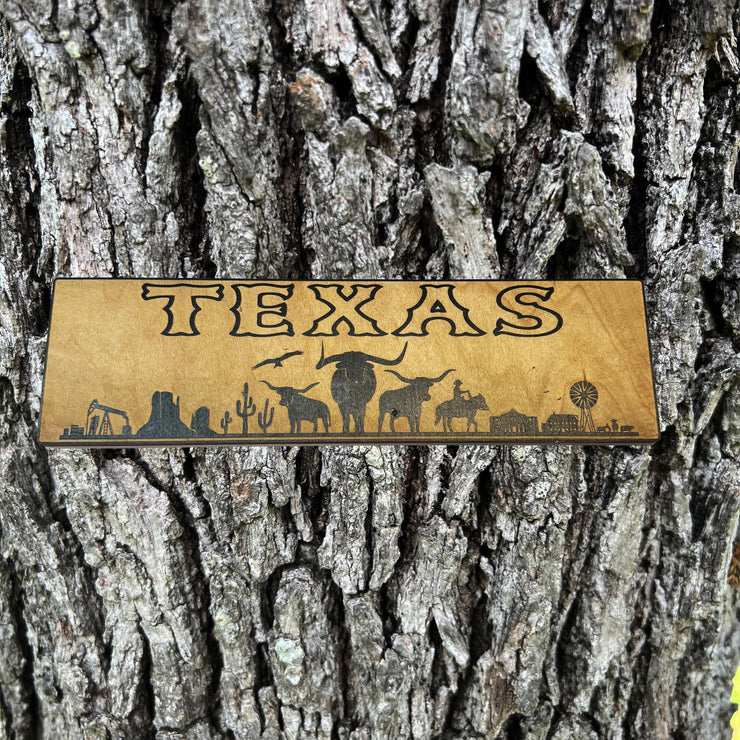 Texas Plaque with Landscape BLACK Sign 3x11