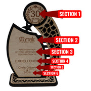 Award - PERSONALIZED - Trophy Award 3