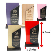 Award - PERSONALIZED - Trophy Award 4 - Color - 12x7 Inhces