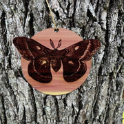 Cecropia Moth - Cedar Ornament