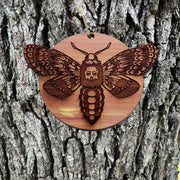 Deaths Head Hawk Moth - Cedar Ornament