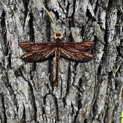 Dragonfly - Cedar Ornament