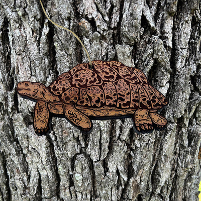 Land Turtle - Cedar Ornament
