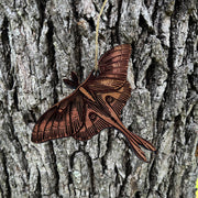 Luna Moth - Cedar Ornament