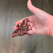 Luna Moth - Cedar Ornament