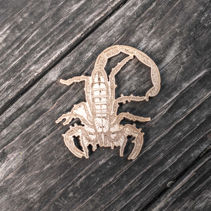 Ornament - Scorpion - Raw Wood 3x4in