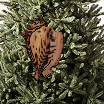 Seashell - Cedar Ornament