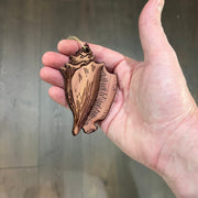 Seashell - Cedar Ornament