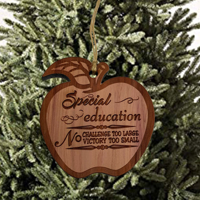 Special Education Ornament - Raw Cedar Ornament